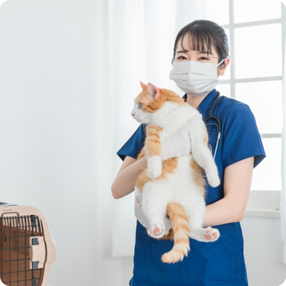 動物看護師の写真